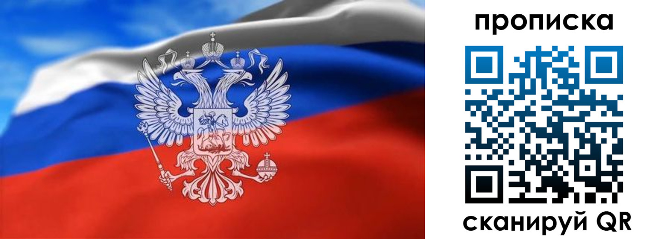 временная регистрация гарантия в Сольцах